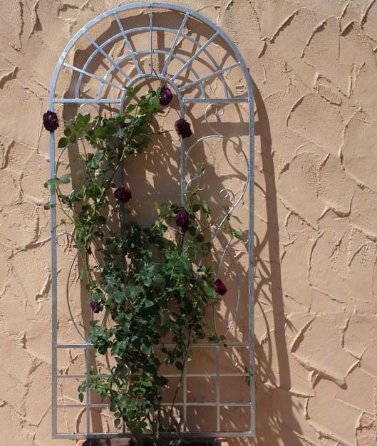 Gartengestaltung