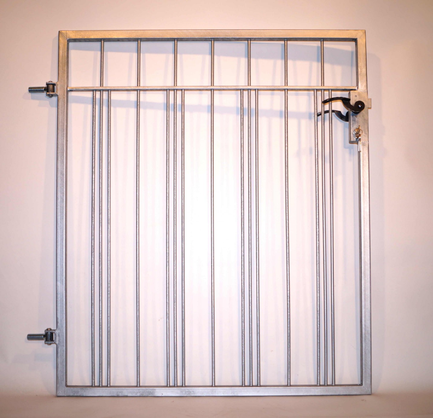 Gartentür Gartentor Metall Eisen Pforte New York FT100/120 Zink