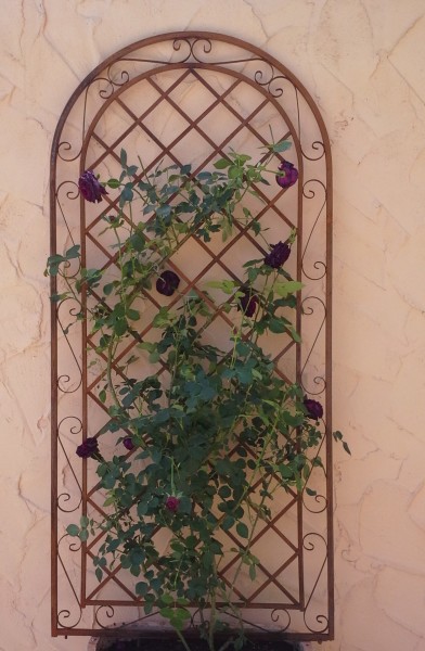 Rankgitter Spalier Wand Rankhilfe Sichtschutz Metall Provence ROST